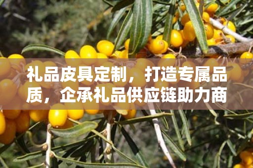 礼品皮具定制，打造专属品质，企承礼品供应链助力商务礼赠